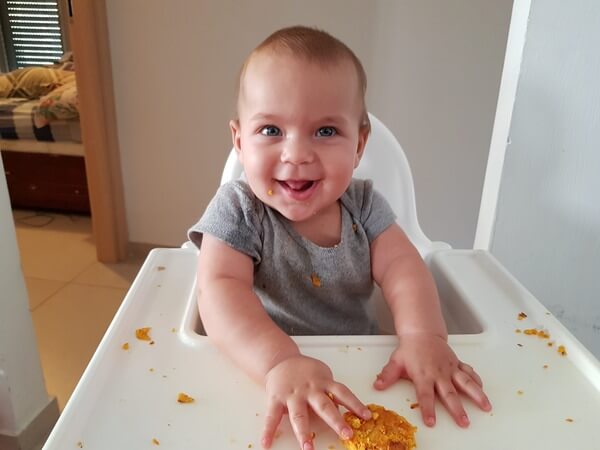 עולם המוצקים - איך מתחילים ואיך מבססים ארוחות שלמות