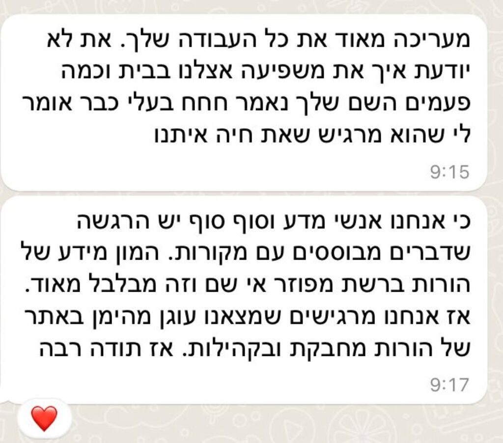 המלצה כללית