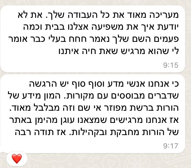 המלצה כללית